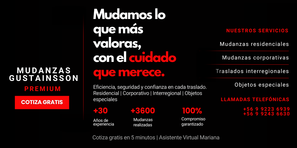 MUDANZAS (9)